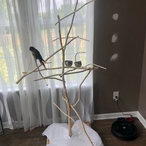 Bird stand